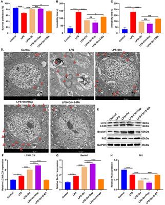 Oridonin Alleviates LPS-Induced Depression by Inhibiting NLRP3 Inflammasome via Activation of Autophagy